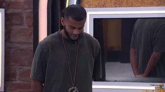Big Brother S28E29-HDTV-X264-NGP