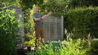 Beechgrove Garden S48E14 WEB H264-RBB